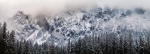 moody-snowy-pine-forest-in-winter-snow-fall.jpg