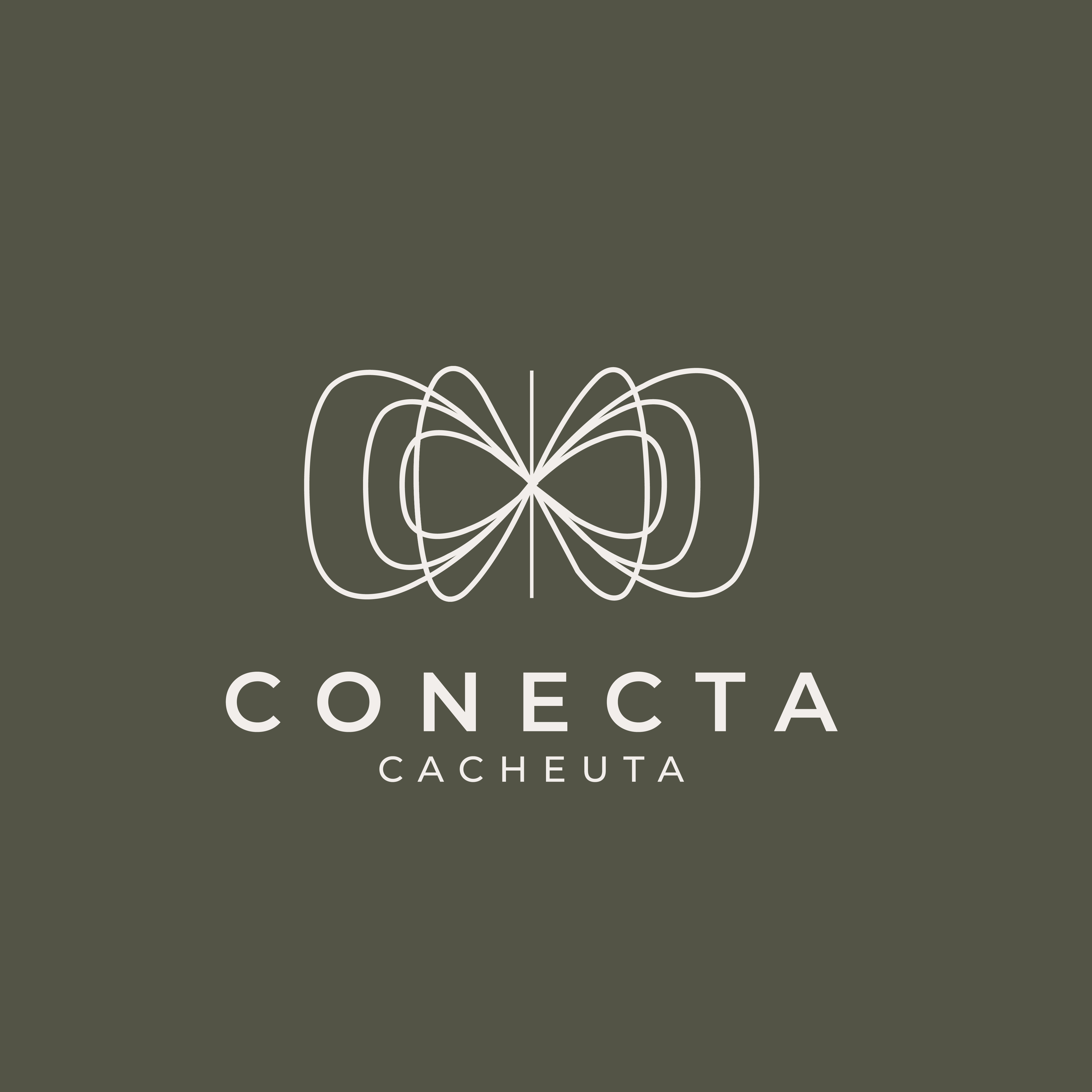 Conecta Cacheuta