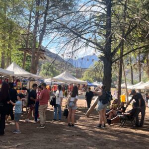 Mañana de Parque Termal + Almuerzo y Tarde en Bosque Cacheuta (Fines de Semana)