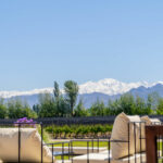 Resto, viñas y montaña