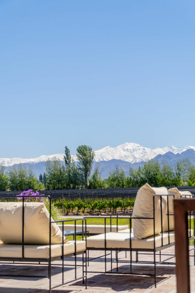 Resto, viñas y montaña - La Malka