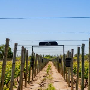 Almuerzo en Finca La Malka + Tarde de TermaSpa