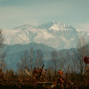 Viñas y Montaña